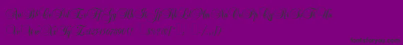 フォントBalmoralplain – 紫の背景に黒い文字