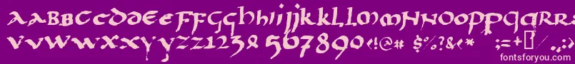 Llpaladi2 Font – Pink Fonts on Purple Background