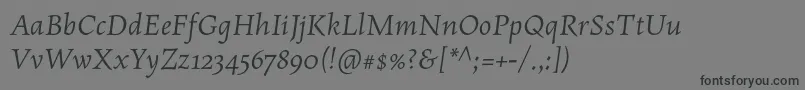 fuente MaiolaproItalic – Fuentes Negras Sobre Fondo Gris