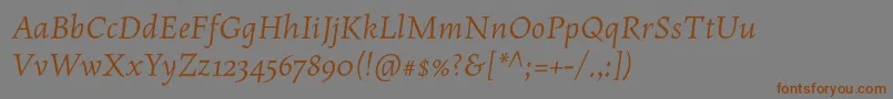 MaiolaproItalic-fontti – ruskeat fontit harmaalla taustalla