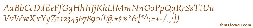 MaiolaproItalic Font – Brown Fonts