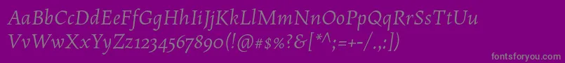 MaiolaproItalic Font – Gray Fonts on Purple Background