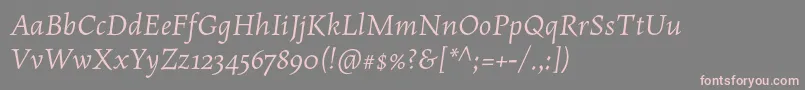 MaiolaproItalic-Schriftart – Rosa Schriften auf grauem Hintergrund
