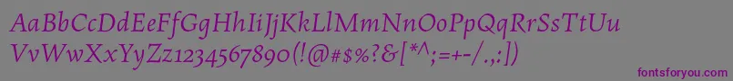 MaiolaproItalic-Schriftart – Violette Schriften auf grauem Hintergrund