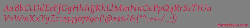Шрифт MaiolaproItalic – красные шрифты на сером фоне