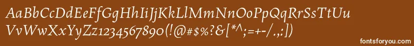 MaiolaproItalic-Schriftart – Weiße Schriften auf braunem Hintergrund