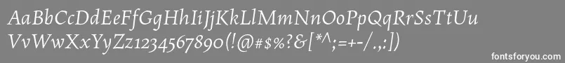 MaiolaproItalic-fontti – valkoiset fontit harmaalla taustalla