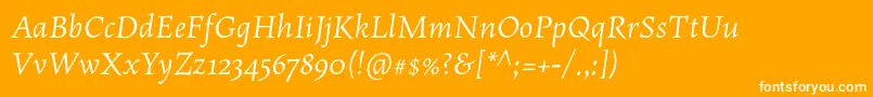 フォントMaiolaproItalic – オレンジの背景に白い文字