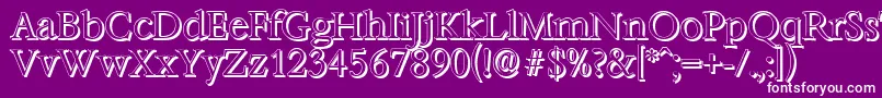 BernsteinshadowLightRegular Font – White Fonts on Purple Background