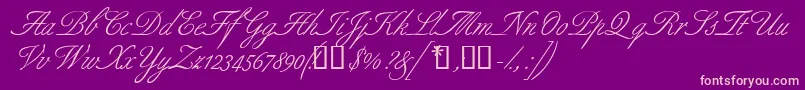 Aldridgescriptssk Font – Pink Fonts on Purple Background