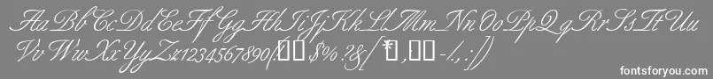 フォントAldridgescriptssk – 灰色の背景に白い文字