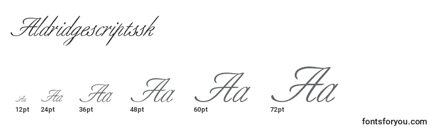 Aldridgescriptssk Font Sizes