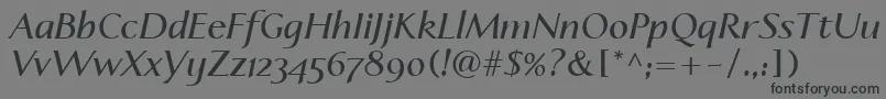 フォントLinotypeapertoSemibolditalic – 黒い文字の灰色の背景
