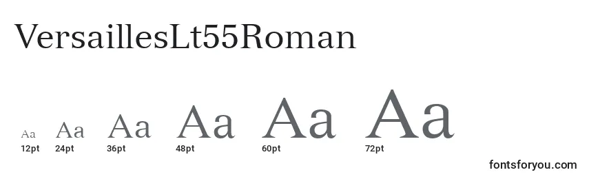 Размеры шрифта VersaillesLt55Roman