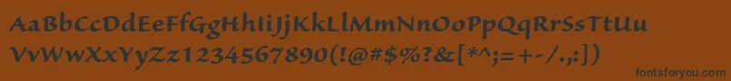 SanvitoproBoldcapt Font – Black Fonts on Brown Background