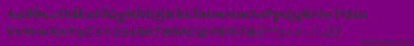 SanvitoproBoldcapt Font – Black Fonts on Purple Background