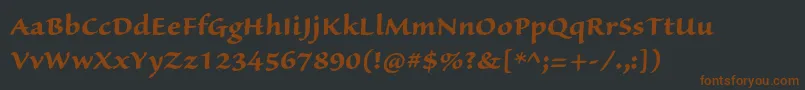 SanvitoproBoldcapt Font – Brown Fonts on Black Background