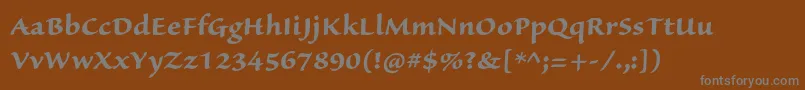 フォントSanvitoproBoldcapt – 茶色の背景に灰色の文字
