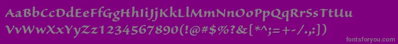 SanvitoproBoldcapt Font – Gray Fonts on Purple Background