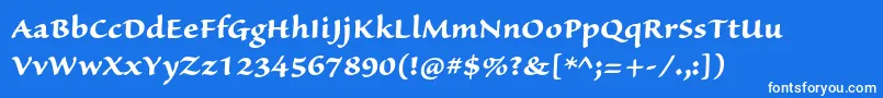 SanvitoproBoldcapt-Schriftart – Weiße Schriften auf blauem Hintergrund