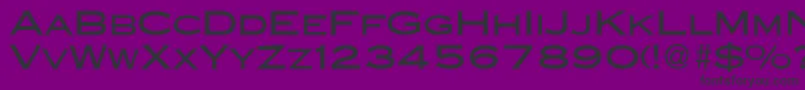 CopperblackdbNormal Font – Black Fonts on Purple Background