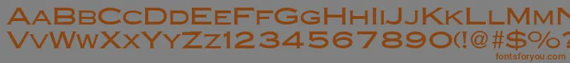 CopperblackdbNormal-Schriftart – Braune Schriften auf grauem Hintergrund