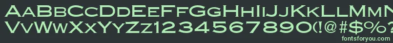フォントCopperblackdbNormal – 黒い背景に緑の文字