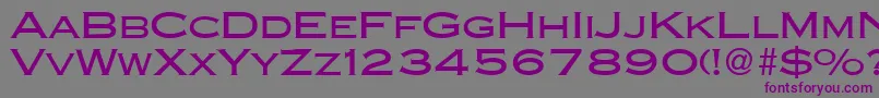 フォントCopperblackdbNormal – 紫色のフォント、灰色の背景