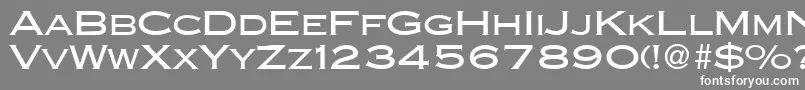 フォントCopperblackdbNormal – 灰色の背景に白い文字