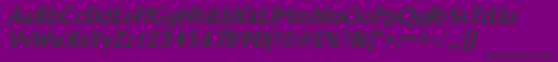 AlbertaBoldItalic Font – Black Fonts on Purple Background