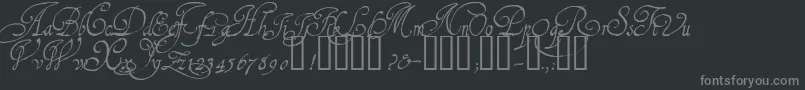 1610CancellarescaLim Font – Gray Fonts on Black Background