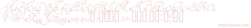 Weitere Informationen zur 1610CancellarescaLim-Schriftart 1610CancellarescaLim-Schriftart – Rosa Schriften auf weißem Hintergrund