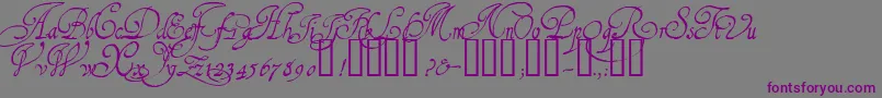 1610CancellarescaLim Font – Purple Fonts on Gray Background