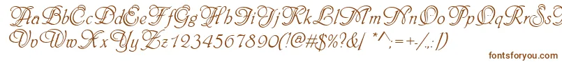 Phyllisinid Font – Brown Fonts on White Background