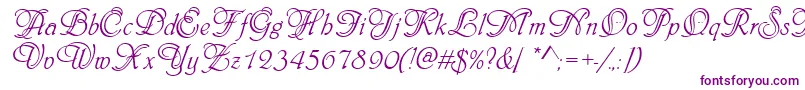 Phyllisinid Font – Purple Fonts on White Background