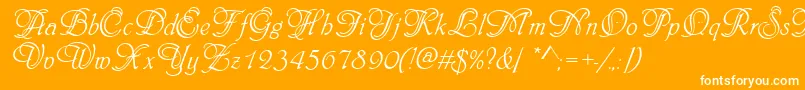 Phyllisinid Font – White Fonts on Orange Background