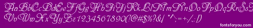 Phyllisinid Font – White Fonts on Purple Background