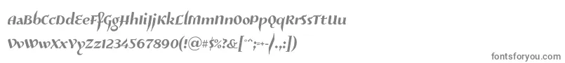 フォントRisaltyp024 – 白い背景に灰色の文字