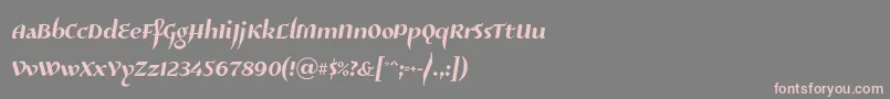 Risaltyp024 Font – Pink Fonts on Gray Background