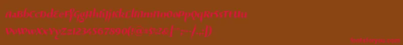 Risaltyp024 Font – Red Fonts on Brown Background
