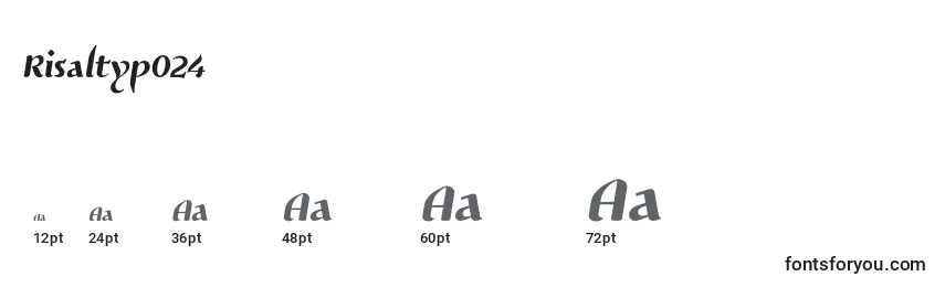 Размеры шрифта Risaltyp024