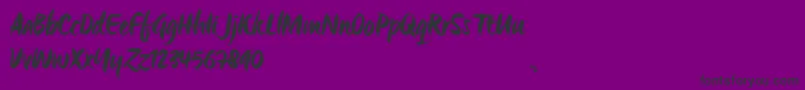 OrigoTrial Font – Black Fonts on Purple Background