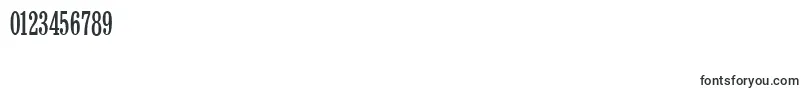 BruskovayaCompressedPlain Font – Fonts for Numbers and Digits