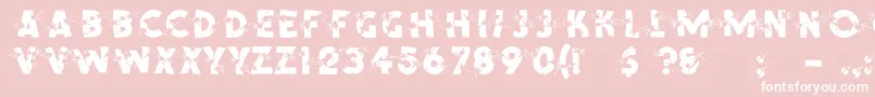 Shotling Font – White Fonts on Pink Background