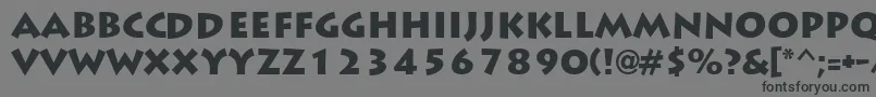 LiddieblackRegular Font – Black Fonts on Gray Background