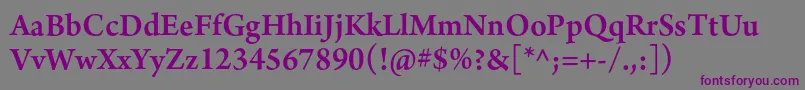 Шрифт ArnoproSemibold12pt – фиолетовые шрифты на сером фоне