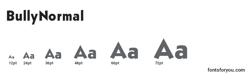 BullyNormal Font Sizes