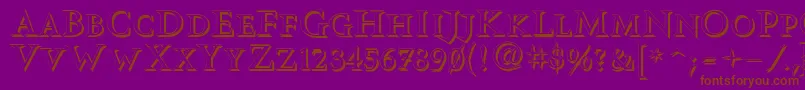 Vtcswitchbladeromanceshadowed Font – Brown Fonts on Purple Background