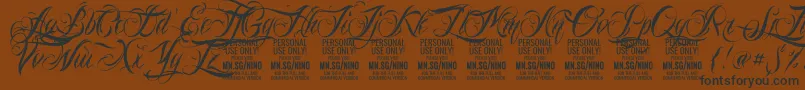 Police NinoscriptPersonalUseOnly – polices noires sur fond brun