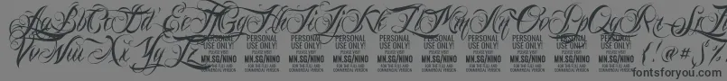 NinoscriptPersonalUseOnly Font – Black Fonts on Gray Background